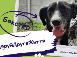 Зображення редакції krivbass.city