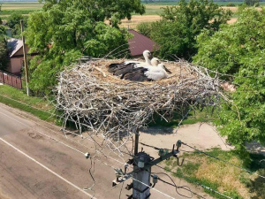 Фото пресслужби компанії ДТЕК