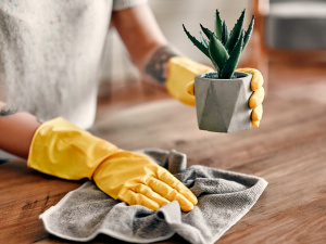 Фото з відкритих джерел