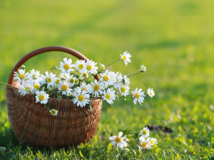 Фото із соціальних мереж