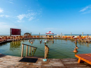 Фото: arabatka.ua