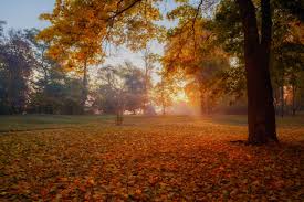 Погода на тиждень - фото ілюстративне з відкритих джерел 