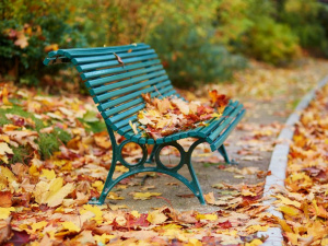 Погода на тиждень - фото ілюстративне з відкритих джерел 