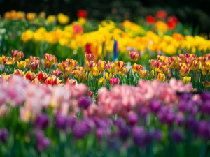 Зображення від wirestock на Freepik