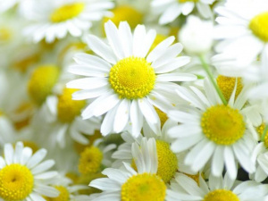 Фото: Depositphotos