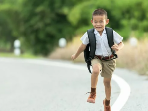 Фото из сети Интернет