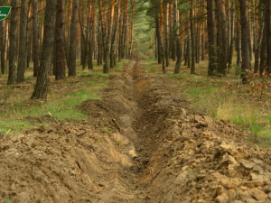 Убезпечити ліси від пожеж: як на Дніпропетровщині готуються до пожежонебезпечного періоду