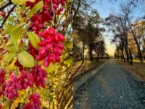 Фото Сніжани Прохор