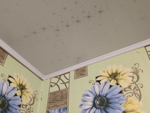 Як правильно мити пластикову стелю: поради господиням