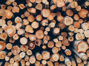 Фото з відкритих джерел