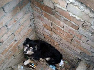 Фото пресс-службы ГСЧС Украины в Днепропетровской области