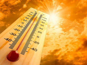 Фото з відкритих джерел