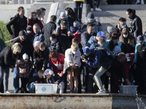 Фото из сети Интернет