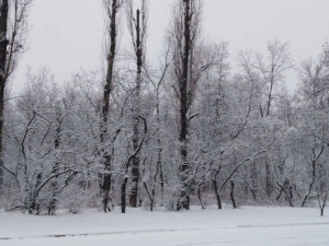 Фото редакції krivbass.city