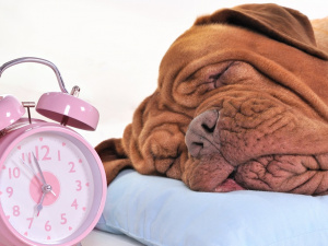 Фото з відкритих джерел