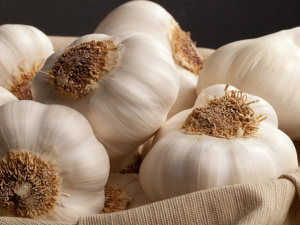 Як правильно зберігати часник, щоб він не висихав – лайфхаки