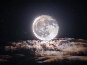 Фото з відкритих джерел