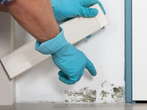 Фото з відкритих джерел