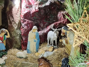 Фото редакції krivbass.city 