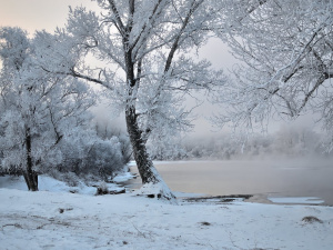 Фото ілюстративне з відкритих джерел     