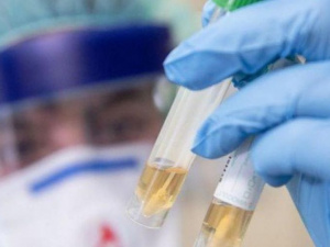 Фото із мережі Інтернет