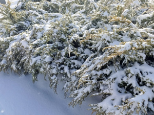 Криворізький вікенд: містян запрошують цікаво провести 21 та 22 лютого
