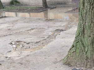 Фото редакції krivbass.city 