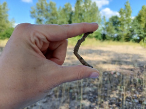 Реакція на тригери - фото з відкритих джерел