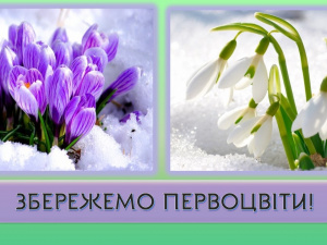 Фото з відкритих джерел