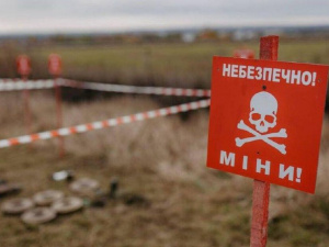 На Дніпропетровщині майже завершили розмінування сільгосп земель: деталі від Миколи Лукашука