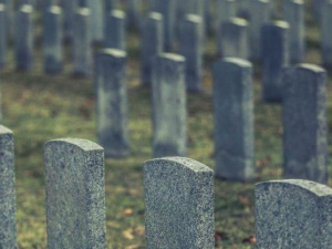 Фото із мережі Інтернет