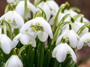 Фото із мережі Інтернет