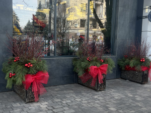 Святковий вікенд у Кривому Розі: як корисно провести час з родиною 4 та 5 січня