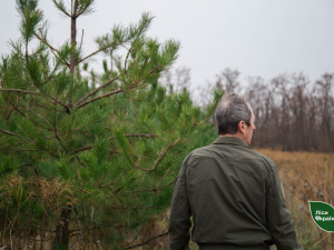 Фото Східний лісовий офіс