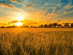 Фото із мережі Інтернет