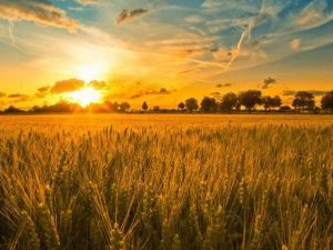 Фото із мережі Інтернет