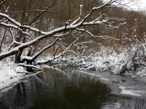 Погода на тиждень - фото ілюстративне з відкритих джерел 