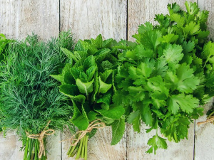 Як правильно зберігати зелень у холодильнику якомога довше: корисні поради