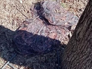 У Металургійному районі затримали чоловіків, які випалювали дроти