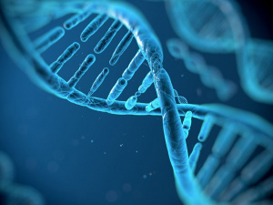 Фото з відкритих джерел