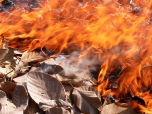 Фото із мережі Інтернет