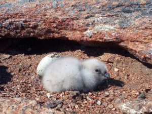 Фото з відкритих джерел