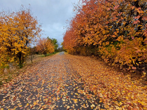 Погода на вікенд - фото ілюстративне з відкритих джерел  