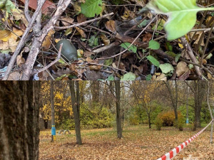 Фото патрульної поліції Кривого Рогу