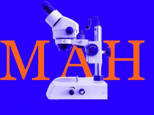 Зображення із мережі Інтернет