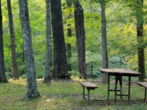 Фото із мережі Інтернет