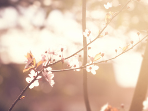 Зображення від valeria_aksakova на Freepik