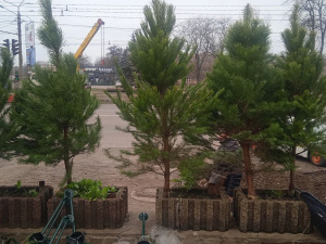 Фото krivbass.city