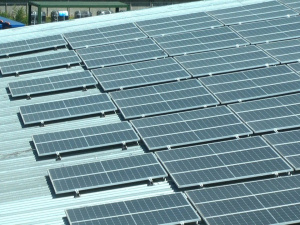 Фото з відкритих джерел