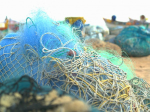 Фото з відкритих джерел